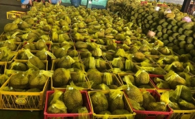 Trái cây Việt đối mặt áp lực cạnh tranh