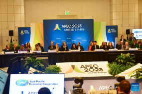 Việt Nam đề xuất ưu tiên thảo luận nhằm nâng cao hiệu quả hoạt động của APEC