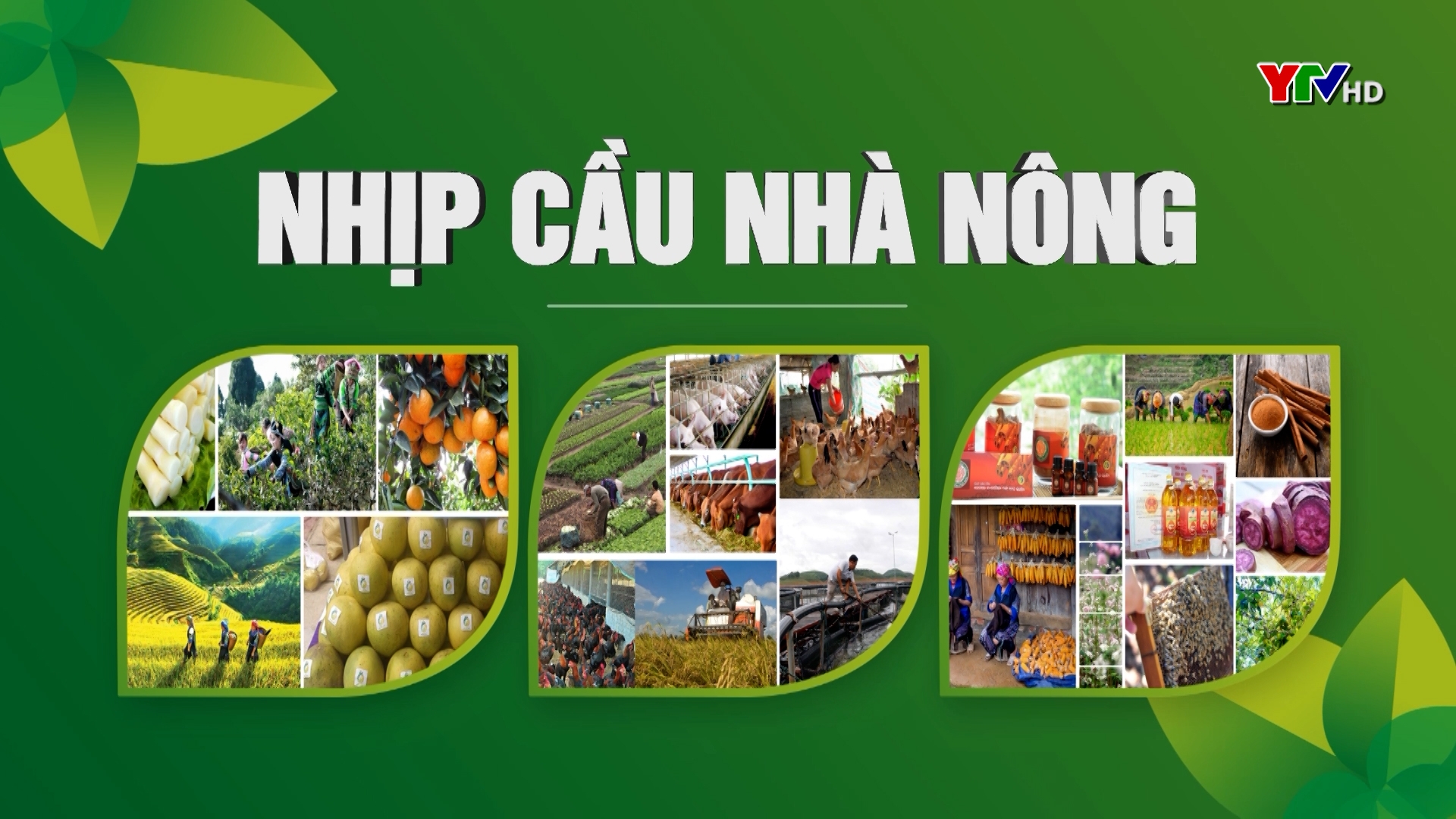 Hiệu quả từ chính sách hỗ trợ phát triển thủy sản