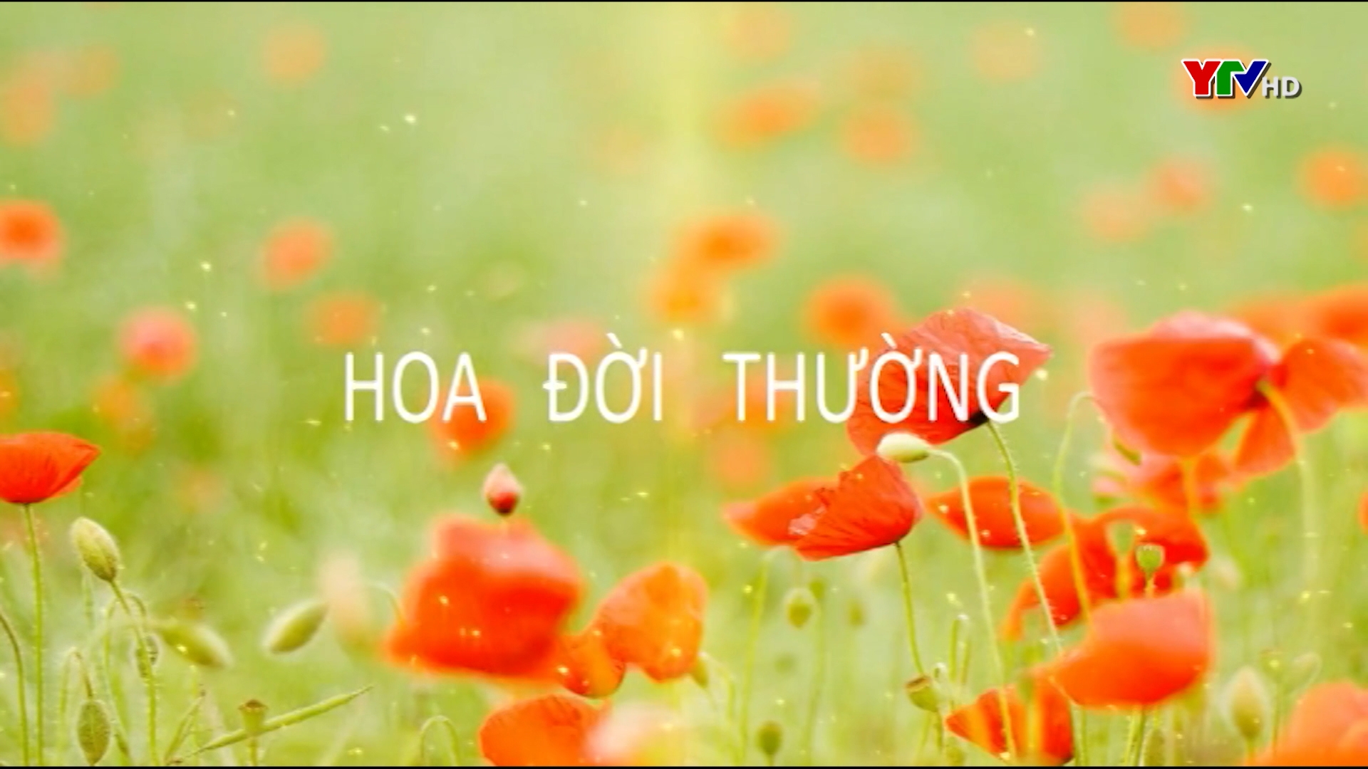 Giảng viên Nguyễn Thu Hương - Người truyền cảm hứng cho sinh viên