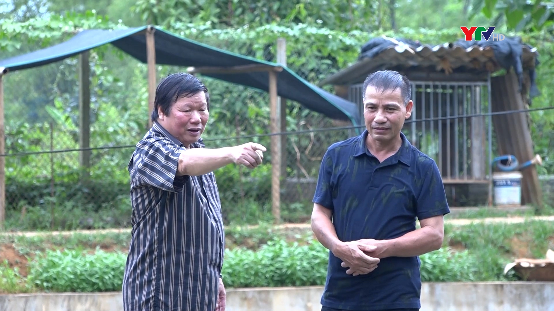 Chuyện anh nông dân làm kinh tế giỏi