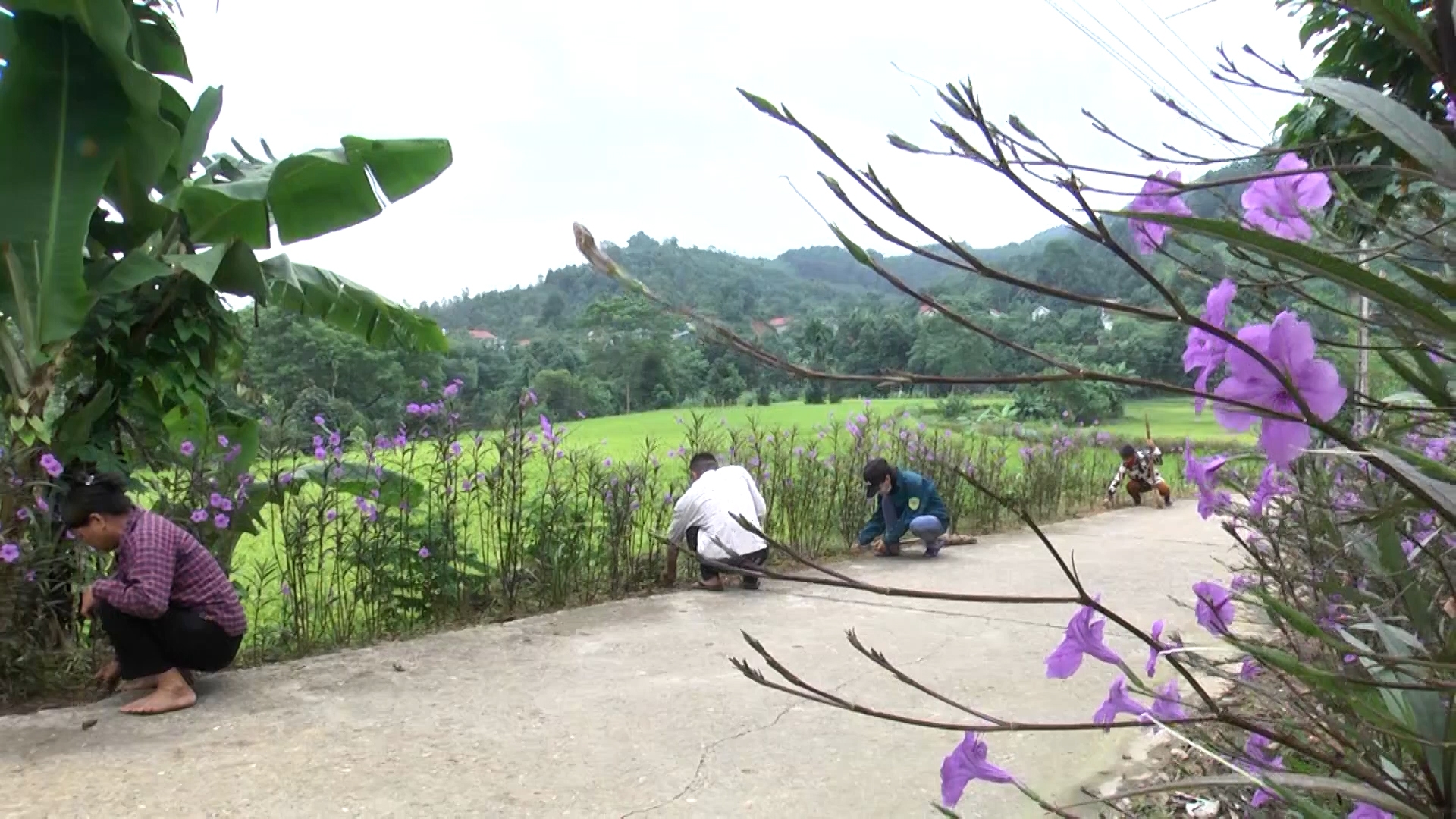 Truyền hình tiếng Thái số 3 tháng 10 năm 2020