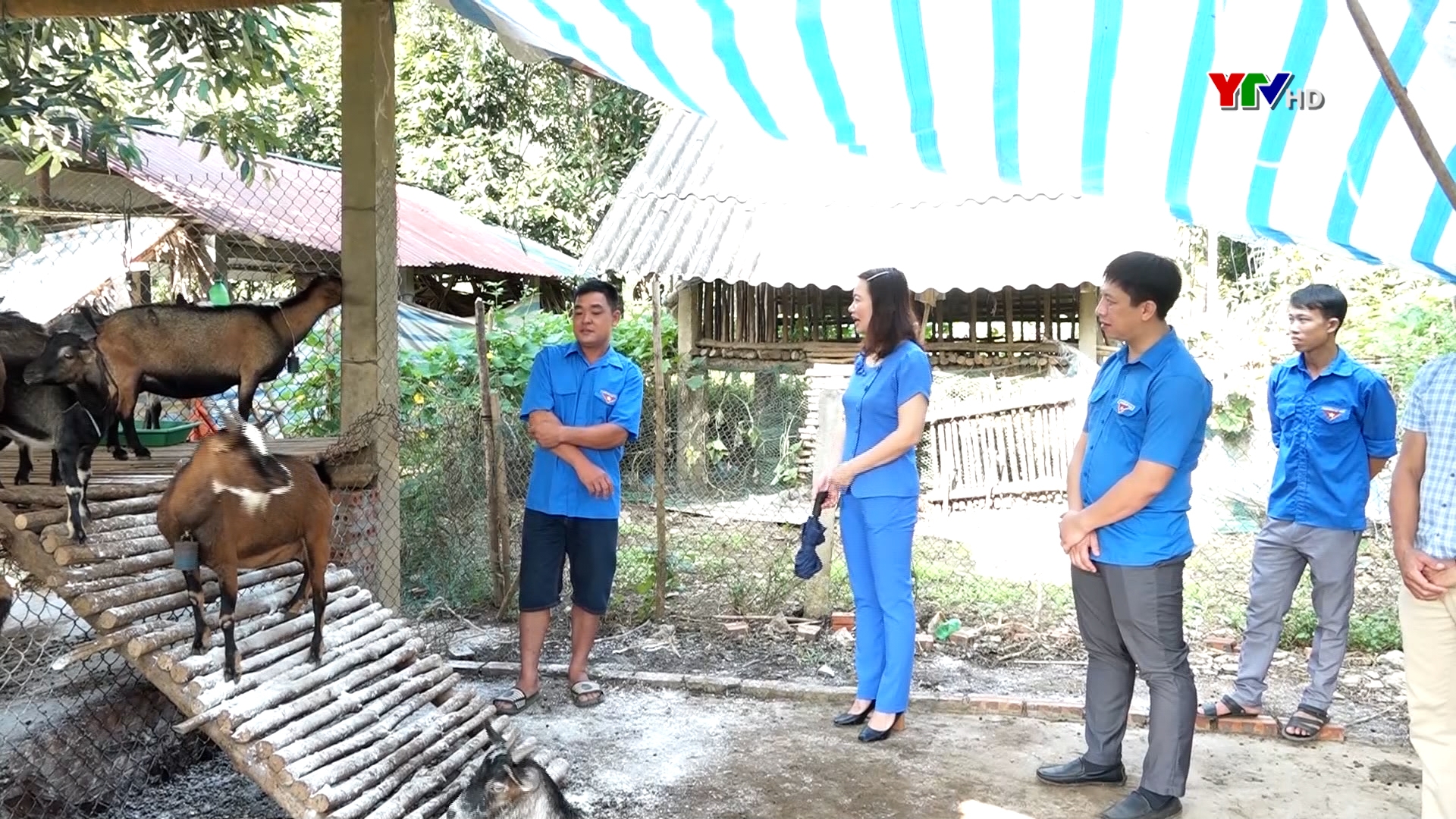Lan tỏa phong trào khởi nghiệp trong đoàn viên thanh niên huyện Văn Yên