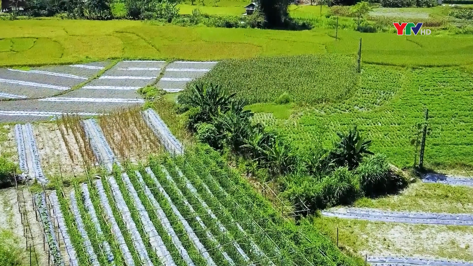 Những mô hình nông nghiệp mới ở Văn Chấn