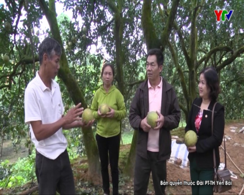 Phát huy vai trò chủ thể của nông dân trong phát triển nông nghiệp và xây dựng NTM