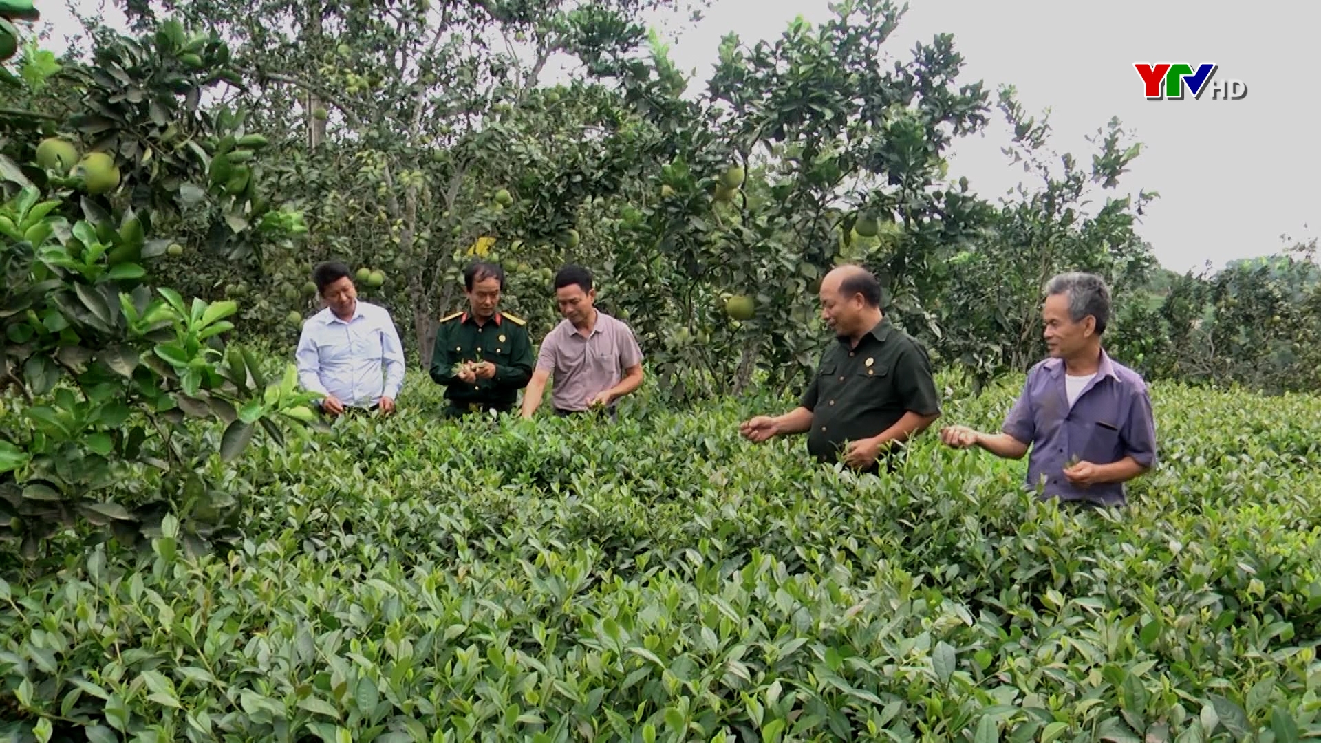 Hội Cựu chiến binh tỉnh - Điểm sáng trong thực hiện Chương trình hành động 190 của Tỉnh ủy